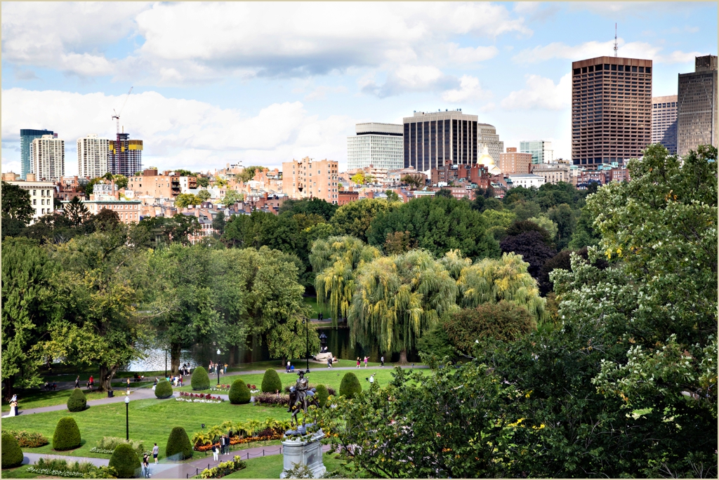 Boston Public Garden Wedding
